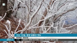 지리산*덕유산은 한겨울, 곶감 만들기 한창(리)