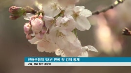 진해군항제, 58년 만에 첫 강제 통제