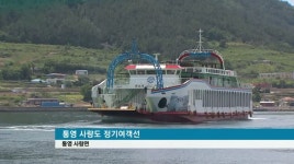 남해안 여객선 노선경쟁 우려