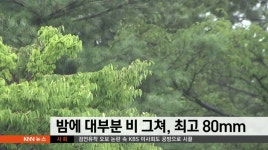 장맛비 밤에 대부분 그쳐..최고 80mm