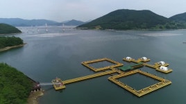 코로나에 1석 3조 노린다! 낚시공원 눈길