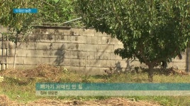 신도시 벗고 농촌 개발, 왜?