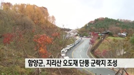 함양군, 지리산 오도재 단풍 군락지 조성