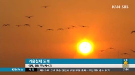 늦가을 주남저수지는 겨울철새로 장관