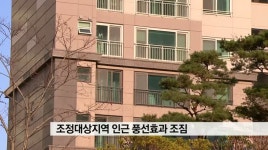 조정지역은 관망세, 주변은 풍선효과?