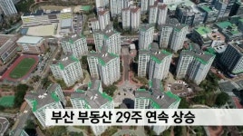 부산 부동산 29주 연속 상승