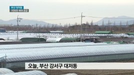 부산 대저 1만8천세대 택지 공급