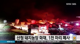 산청 돼지농장 화재, 돼지 1천마리 폐사