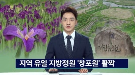 부산경남 유일 지방정원 거창 창포원, 꽃창포 활짝
