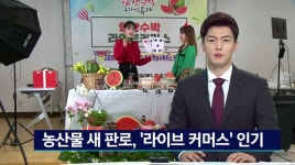 농산물 새 판로, 라이브 커머스 인기