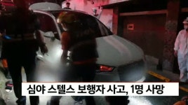 심야 스텔스 보행자 사고, 1명 사망