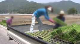 창원, 귀농귀촌 중심 청년 농업인 6천5백명 유치