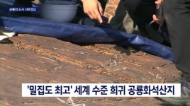 정촌 공룡발자국화석산지 천연기념물로...전시*연구시설 필요
