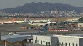 김해공항 국내선 전년 대비 소폭 회복