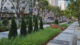 부산, 어린이보호구역 인도*차도 분리 숲 5곳 조성