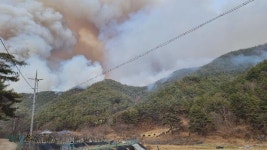 [속보]경남 합천 산불에 ‘산불 3단계’ 위기경보 ‘심각’단계 발령