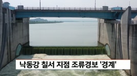 낙동강 칠서 지점 조류경보 경계…2주 만에 상향 조정