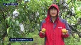 폭염에 집중호우 오락가락 날씨에 농작물 피해 우려