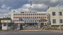 산후우울증 앓던 30대 여성, 생후 2개월 아이 살해