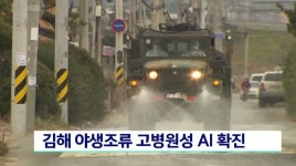 김해 사촌천 야생조류 고병원성 AI확진