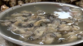 김장비용 안정세..수산물도 풍성