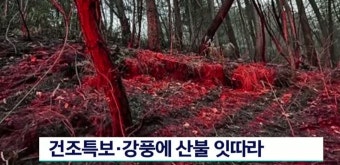 건조특보, 강풍에 산불 잇따라
