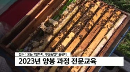 부산에서 양봉산업 육성 전문교육 실시