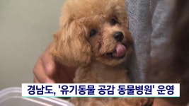 경남도 유기동물 공감 동물병원 운영