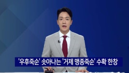 우후죽순 솟아나는 거제 맹종죽순 수확 한창