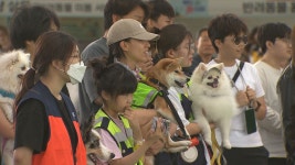 반려동물축제 2023 위드펫스타 개막