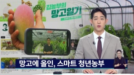 망고에 올인, 스마트 농부