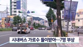 시내버스 가로수 들이받아...7명 부상