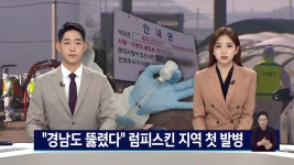 경남서도 첫 소 럼피스킨병 발생