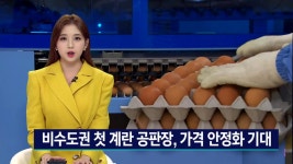 경남에 첫 계란공판장 본격 운영