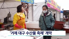 거제 대구 수산물 축제 개막