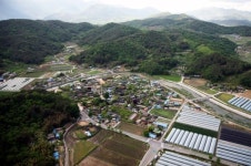 X자 회화나무 통과하면 부부의 정이 살뜰~