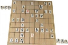 ‘장군’은 앞 머리, ‘멍군’은 뒷 머리로 판단한다