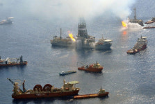 멕시코만 원유 유출 5년, 생태계 살아났나?