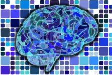 ‘치매 뇌 지도’ 2023년까지 완성한다