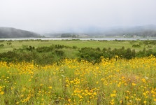 [강원도 양양 여행] 매호, 하조대에서 관심과 무관심 사이에 서다