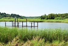 [강릉 순포호, 양양 매호] 다시 살아날 석호! 순포호, 매호의 재발견
