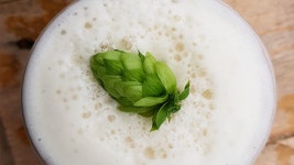 [H의 맥주생활 (14)] 꽃이 내게 와 맥주가 되었다