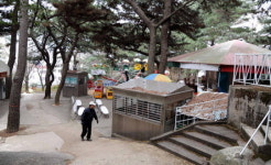 국제신문 2012 5대 어젠다 &lt;3&gt; 테마파크·동물원을 만들자