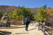 근교산&그너머  포항 비학산
