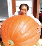 보은 77㎏짜리 호박, 둘레 200㎝ 초대형 슈퍼호박…돌연변이일까?