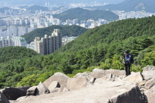 근교산&그너머  해운대 장산 너덜길