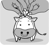 [도청도설] 하동 한우펀드