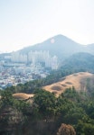 연산동 고분군 복원 내일 준공, 국가문화재 승격 작업 본격화