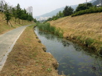 양산 새들천 수질 개선사업 착수