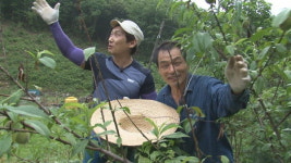 〈나는 자연인이다〉 1일 예고-산에서 찾은 행복의 조건 자연인 이태형